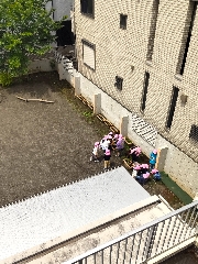 園長ブログを更新しました～年長の苗植え