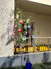 園長ブログを更新しました～今日は七夕