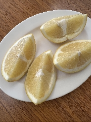 しょうこ先生のつぶやき 16