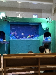 しょうこ先生のつぶやき 21