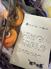 しょうこ先生のつぶやき 7