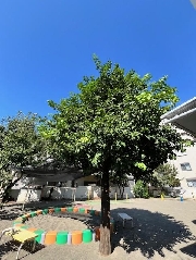 新園長のブログを更新しました
