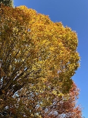 新園長のフォトギャラリー