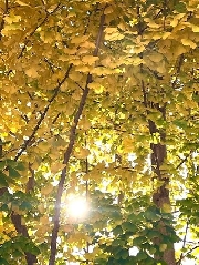 新園長のフォトギャラリー