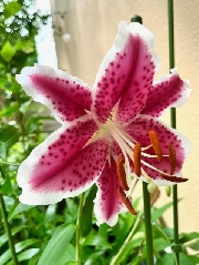 新園長のブログを更新しました